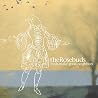Image of album by The Rosebuds