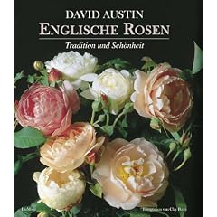 Englische Rosen
