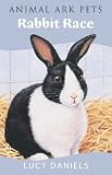 Cover of Rabbit Race by Lucy Daniels 0340917865