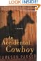 An Accidental Cowboy