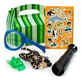 Go, Diego Go! Party Favor Box Party Supplies