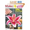 Make: Technology on Your Time Volume 02