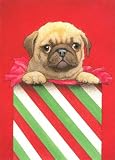 The Christmas Pug Christmas Card