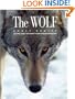 The Wolf: Ghost Hunter