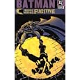 Batman: Bruce Wayne - Fugitive, Vol. 2