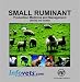 Search : Small Ruminant: Production Medicine and Management (Sheep and Goats)