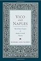 Vico and Naples: The Urban Origins of Modern Social Theory