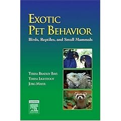 Exotic Pet Behavior: Birds, Reptiles, and Small Mammals