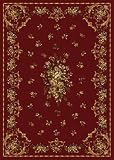 Traditional Area Rug, Home Dynamix Royalty 5'x8' Red.