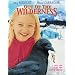 Out of the Wilderness