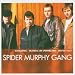 Spider Murphy Gang-Essential