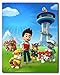 PAW PATROL Wall Art Poster Prints - Set of Eight 8x10 Photos - Everest Ryder Chase Marshall Skye Zuma Rubble