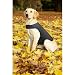 Kurgo Wander Dog Coat, Fleece, Large