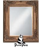 Review PosterPanda.com  / 11x14 - Dark Antique Gold FRAMED MIRROR with Liner