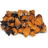 Chaga 1 LB (16 oz) Small Chunks Wild Harvested Canadian Chaga - Only the Best - Mushroom Tea Chinese Medicine