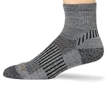 Wigwam Men's Merino/Silk Scout Quarter Length Sock