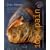 100% Pain : La saga du pain envelopp�e de 60 recettes croustillantes
