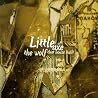 Image of album by Little Axe