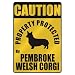 CAUTION 