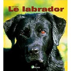 Le Labrador