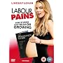 Labour Pains [DVD] [2009]