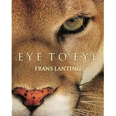 Eye to Eye (Gebundene Ausgabe)