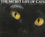 The Secret Life of Cats