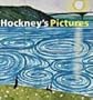 Hockney's Pictures