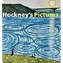 Hockney's Pictures