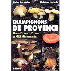 Champignons de Provence