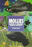 Mollies: Keeping  Breeding Them in Captivity