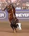 Breyer Collectibulls - Hammer