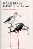 Rare birds in Britain and Ireland