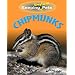 Keeping Unusual Pets: Chipmunks  (Keeping Unusual Pets)
