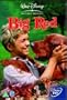 Big Red