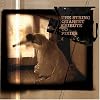 The String Quartet Tribute to Pixies The String Quartet Tribute to Pixies