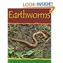 Earthworms (Minibeasts)
