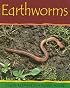 Earthworms (Minibeasts)