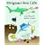 Origami Sea Life