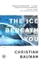 The Ice Beneath You: A Novel