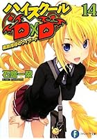 ハイスクールD×D（14）