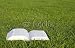 Wallmonkeys Peel and Stick Wall Decals - Open Book on Green Grass 2 - Removable Graphic