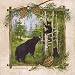Black Bears II Art Poster PRINT Anita Phillips 12x12