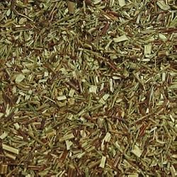 green rooibos tea