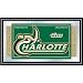 U of North Carolina Charlotte Logo and Mascot Framed Mirror