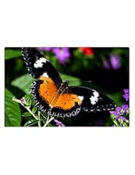From Amazon.com. Click for details:
 Lawn & Patio: Rock Bull Doormat - A BUTTERFLY FOR ROXY, 23.6"x15.7" - Rock Bull Lawn & Patio: Rock Bull Doormat - A BUTTERFLY FOR ROXY, 23.6"x15.7" - Rock Bull