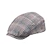 MG Men's Plaid Ivy Newsboy Cap Hat (Blue, XL)