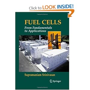 Biomass Fuel Cell