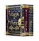 Septimus Heap Box Set: Books 1 and 2 (Septimus Heap)