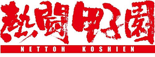 熱闘甲子園2015 [DVD]